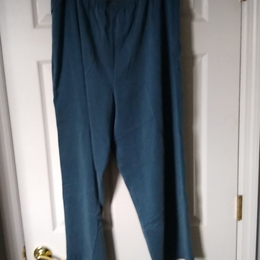 Eileen Fisher gorgeous silk pants XL